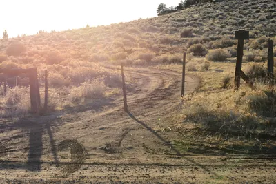 DSC_3036 (Large).JPG